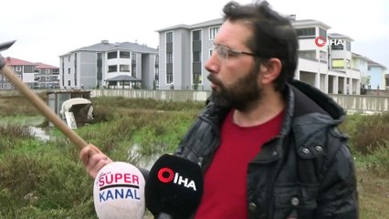 Kuşlarına bakan çocukları tekme tokat döven şahıs: 'Çocukları baktıkları için değil, çaldığı için korkutmak istedim'
