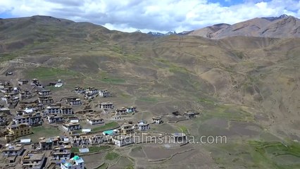 Demul Khas Village in Spiti is remote but prosperous- aerial view of greenery in a brown landscape
