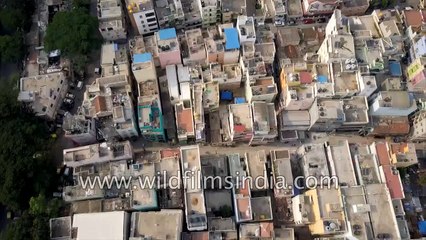 Fly over Lal Bagh gardens in Bangalore- aerial view of Bengaluru city