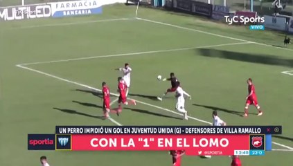 Dog saves goal off the line in Argentinian football match
