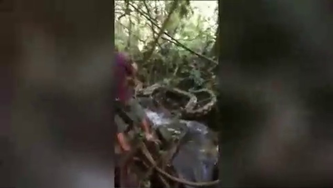 Python caught after it wrapped itself around a fisherman’s ankle