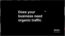 Does your business need traffic? | SEOZA