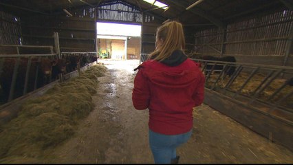 Fears 'no-deal' Brexit could hurt UK farming industry