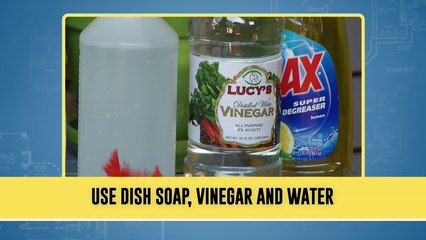 Protecting Family Treasures