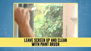 Tips For Cleaning Window Screens