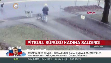 Pitbull sürüsü kadına saldırdı