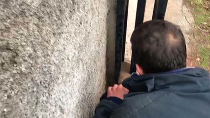 Demir Kapıya Başı Sıkışan Köpek Yavrusu Kurtarıldı