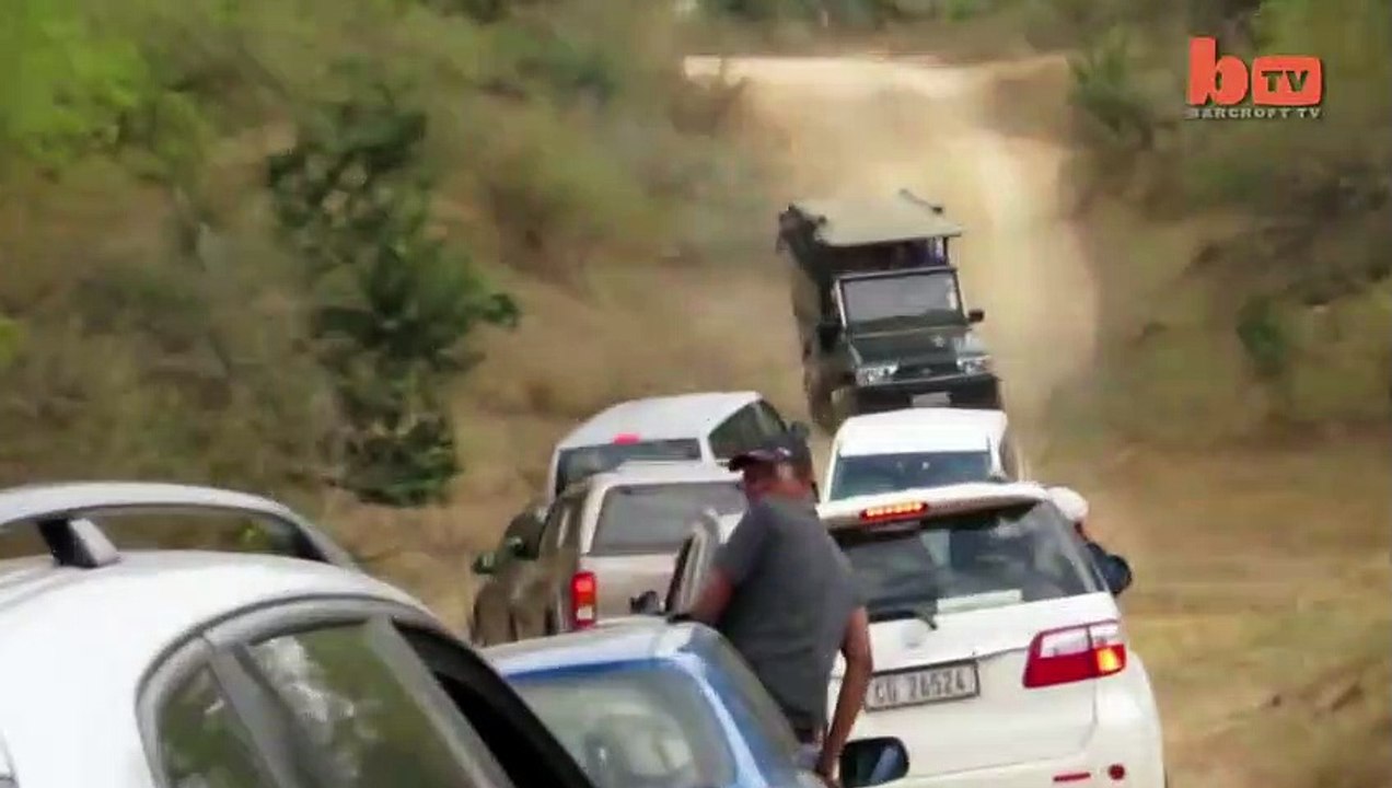 Leopard Attacks Tourist