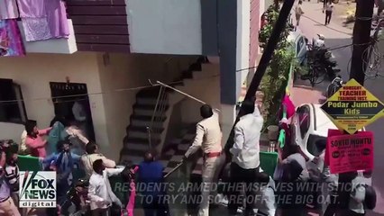 WILD video- Leopard attacks residents in Indian city