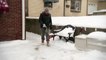 Which is best for snow removal: Rock salt or calcium chloride?