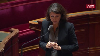 Le Sénat limite l’aide médicale d’État