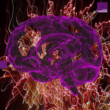 Stanislas Dehaene : l'environnement social influe sur l'évolution des cerveaux