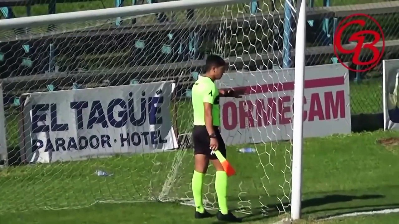 Foot : ce chien arrête un but en plein match officiel à la place du gardien !