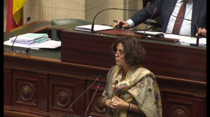 Julie Fernandez-Fernandez : "Pouvez-vous répéter devant le parlement les mots que vous avez tenus devant les Nations Unies?"