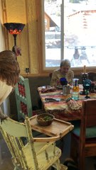 Turkey Gets Invited for Turkey Day