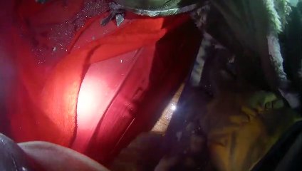 Fireman Rescues Cat from House Fire