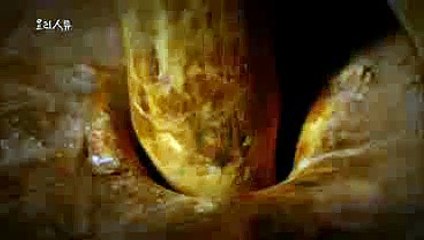 꽁포10000／／ ＫＯＮ２０。ＣＯＭ ／／조이인터내셔널