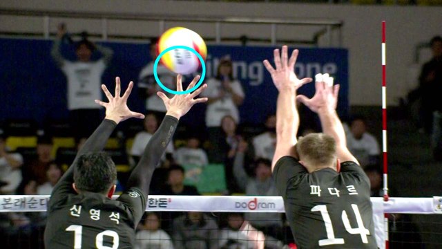 V리그 최고 '매의 눈'은?...비디오 판독에 울고 웃는 V리그 / YTN