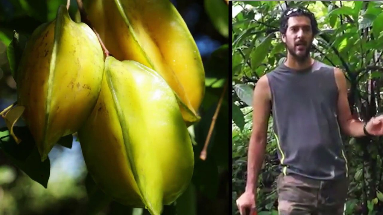 Entrepreneurs and E-Farm | NBC News for Univers...