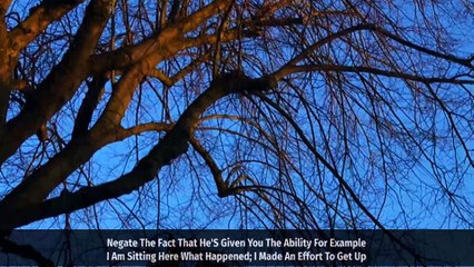 How To Balance One’s Belief In Free Will With Believe In Destiny - Mufti Menk