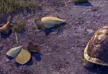 황금성사이트, 무료릴게임 ,,☭,, VFV7 쩜 C오엠 ,,☭,, 신천지게임