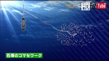 【釣】神奈川県　三浦半島　剣崎　松輪江奈港 釣りガール　ワラサを狙う fishing