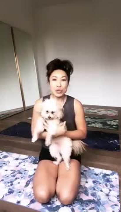 Blogilates