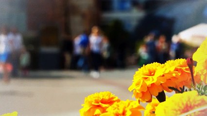 A vendre - Appartement - TASSIN LA DEMI LUNE (69160) - 4 pièces - 86m²