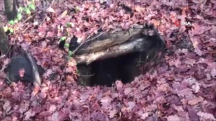 Diyarbakır'da PKK'nın Kış Sığınakları İmha Edildi