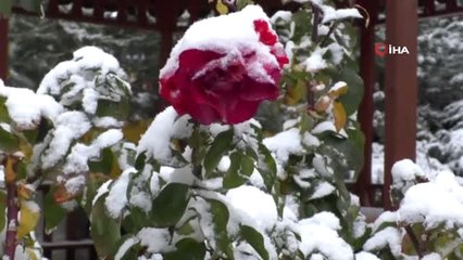 Yozgat Karın Keyfini Çocuklar Çıkardı