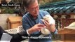 South Korea President cuddles newborn Northern pups