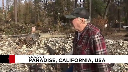 Etats-Unis : les habitants de Paradise de retour dans une "ville-fantôme"