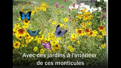 J'y crois pas ! Les termites sont les meilleurs architectes du monde