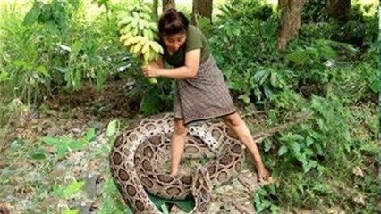 Скачать видео: Primitive Technology - Finding Snake By Girl in forest // Des nouvelles méthodes primitives pour vivre