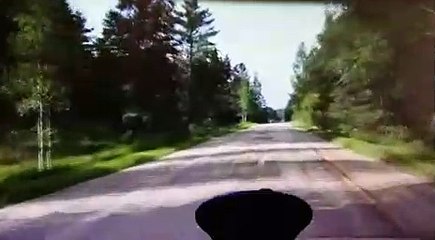 VÍDEO: La típica carretera de Rusia, vas tan tranquilo y de repente...