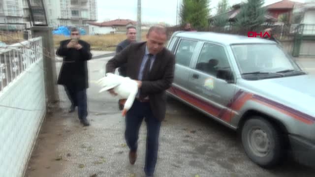 Aksaray Tarım ve Orman İl Müdürlüğü, Hindileri Çalınan Yaşlı Kadına Kanatlı Hayvan Hediye Etti