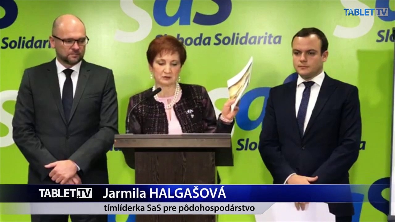ZÁZNAM: TK strany Sloboda a Solidarita