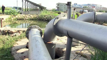 التغير المناخي يهدد الأراضي الخصبة في دلتا النيل بمصر