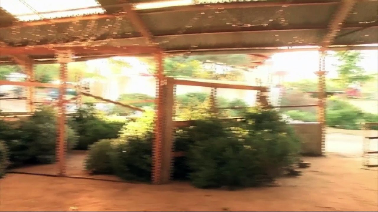 Toutes l'actualité de la région Auvergne Rhône-Alpes!