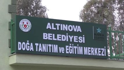 Hersek Lagünü'ne "Kuş Gözlem Kulesi"