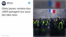 Gilets jaunes. Quand des élus LREM partagent aussi des fake news.