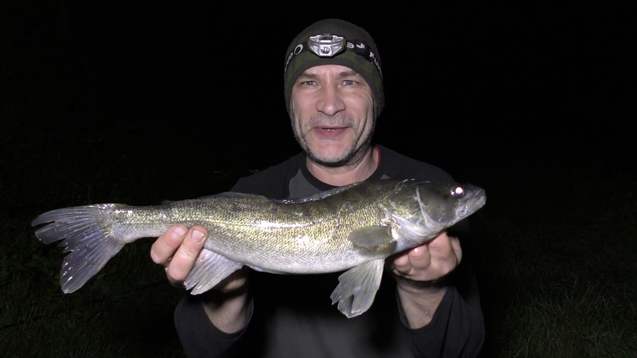Canal Zander - Towpath Tribulations, A Respite - 20/4/18 (Video 68)