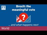 Brexit: all you need to know about the meaningful vote