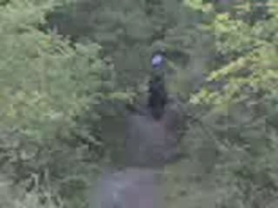 Saut évolis L