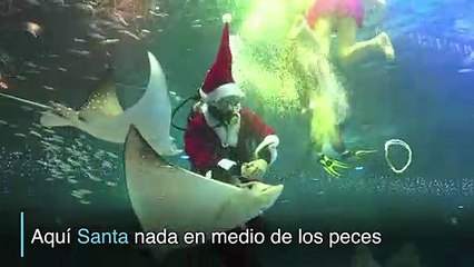 Santa es la estrella en acuario de Seúl