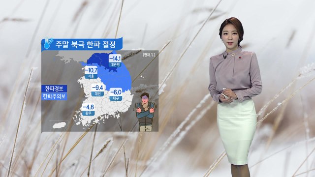 [날씨] 주말 북극 한파 절정...서해안 폭설 / YTN