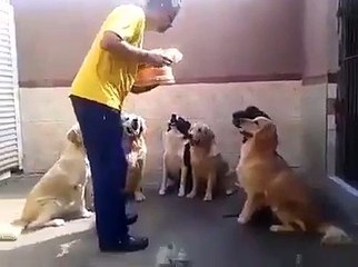 think about it shame for human