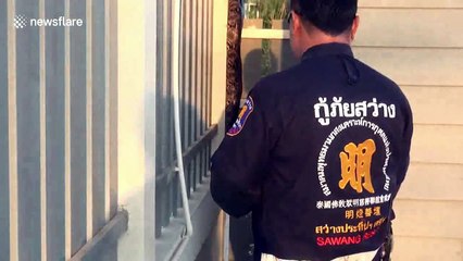 Workers find 12ft long python sleeping on factory fence