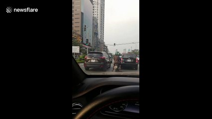 Fed up pedestrian clambers along power lines to cross busy road