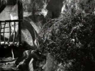 Los tres huastecos - La tucita le dispara a Lorenzo